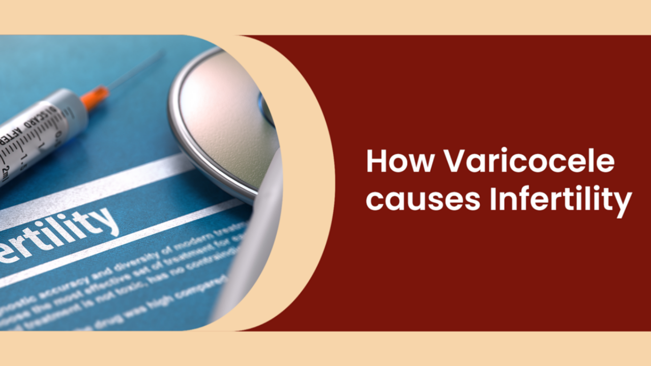 How Varicocele Causes Infertility?